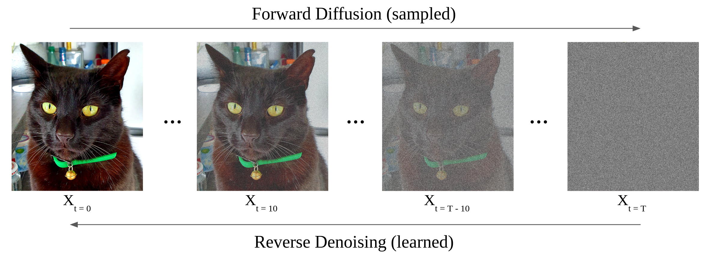A black cat photograph becomes progressively noisier across four panels; arrows show forward noising to the right and learned reverse denoising to the left.
