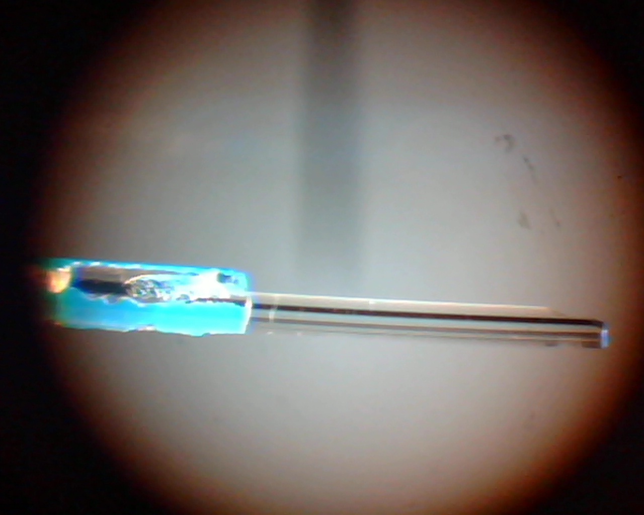 A single-mode optical fiber viewed through a microscope, with blue protective coating on the left