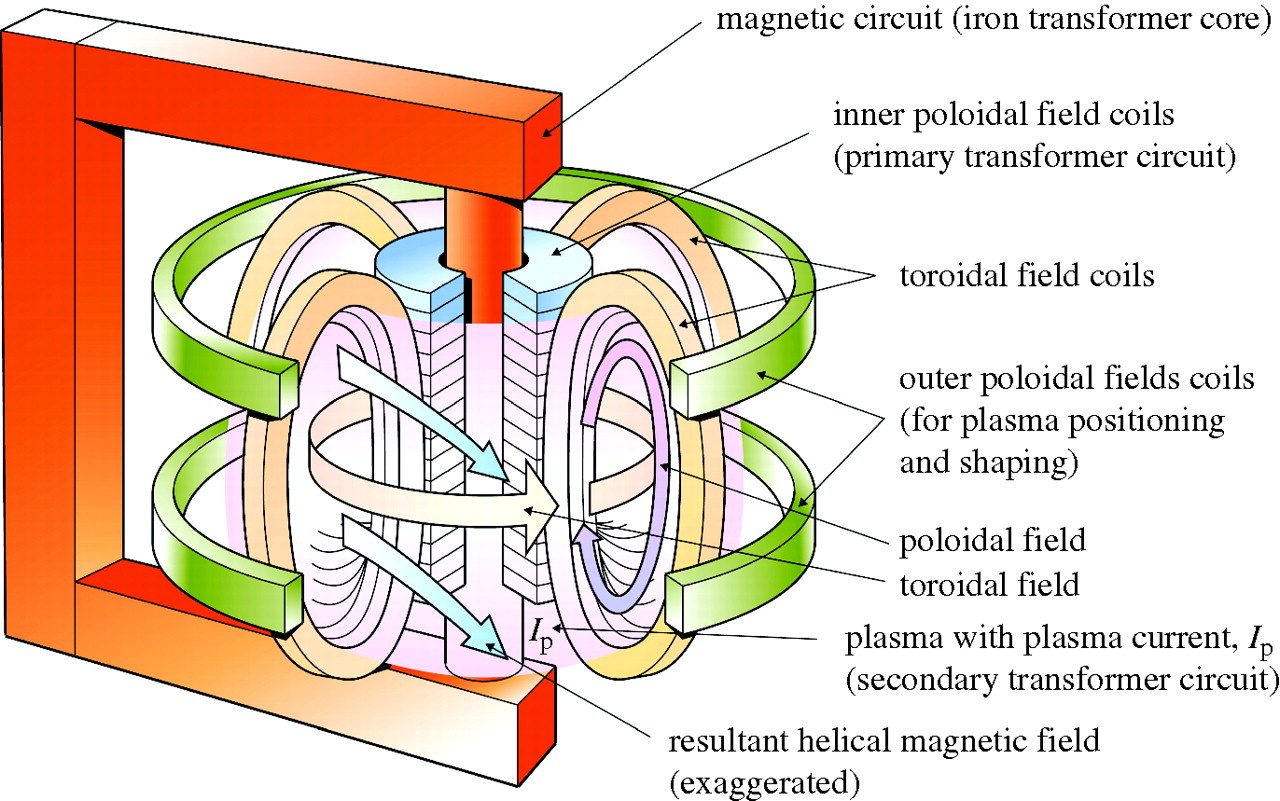 A labeled cutaway diagram showing a tokamak chamber, plasma and magnetic field coils.